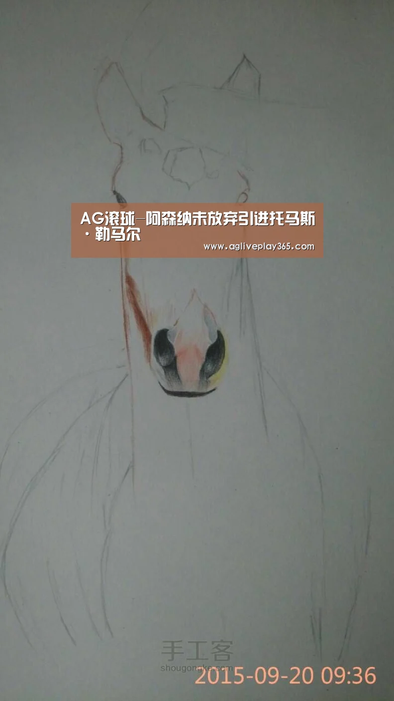 AG滚球