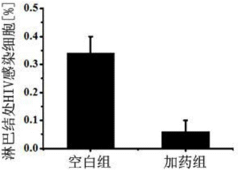 AG登录