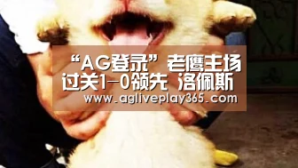 AG亚洲