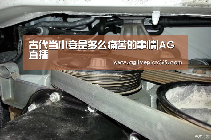古代当小妾是多么痛苦的事情|AG直播(图2) AG亚洲