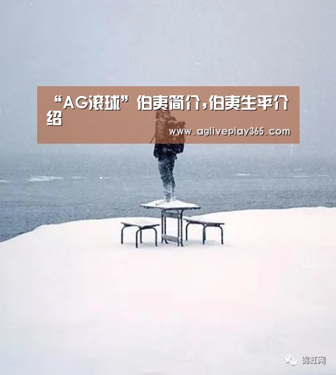 “AG滚球”伯夷简介,伯夷生平介绍(图2) AG登录