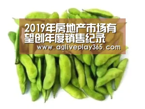 2019年房地产市场有望创年度销售纪录 市场平稳是主流_AG亚洲(图2) AG亚洲